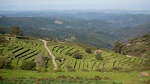 Monchique: The Best Hidden Town in The Mountains
