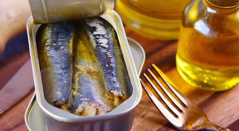 best canned sardines from Portugal