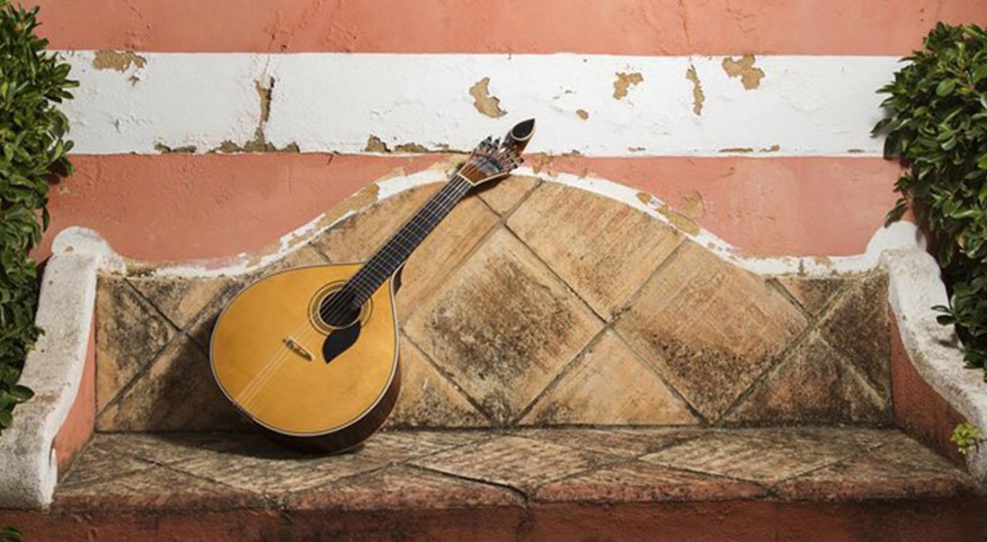 Best Fado in Lisbon, FADO guitar