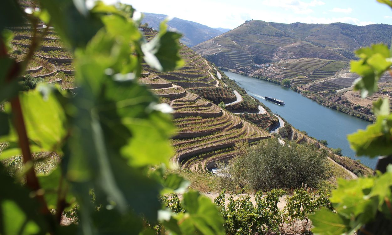10 Unique Douro Valley Tours + A Guide To This Scenic Region