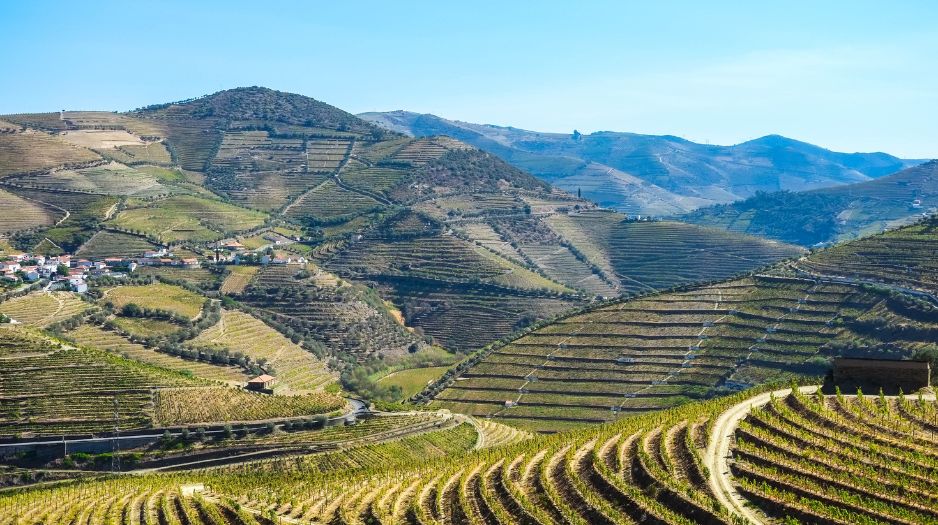 douro valley tour by car