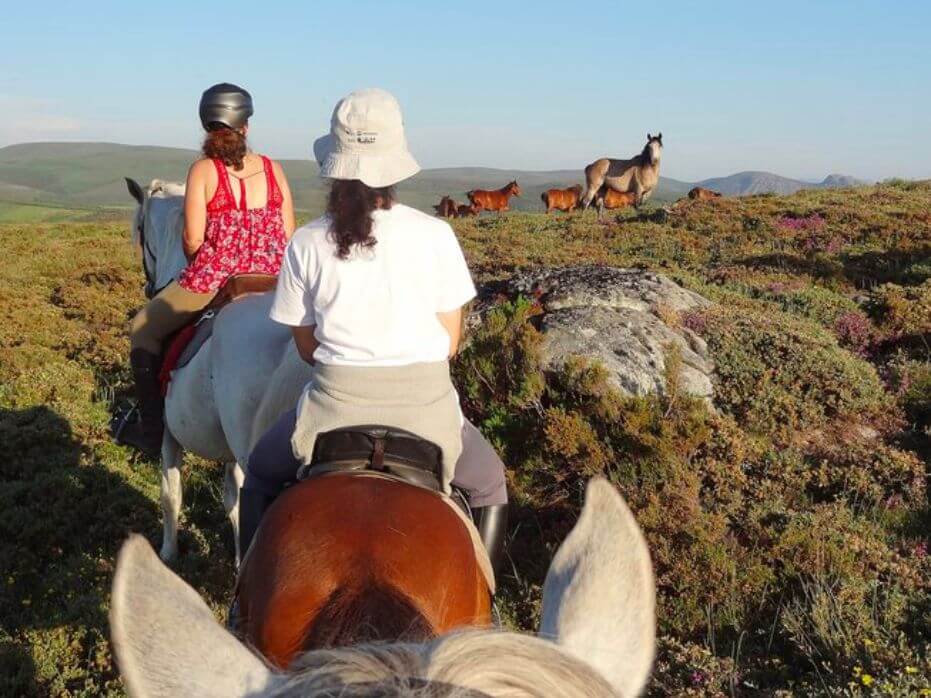 horseback riding in Portugal and spotting wild horses in Northern Portugal